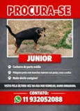 Júnior