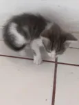 .