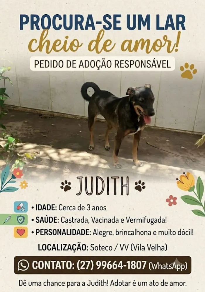Cachorro raça SRD-ViraLata idade 3 anos nome Judith