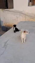 Nino e Didi