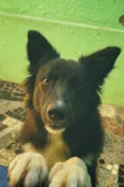 Zeus