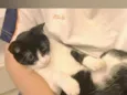 mya