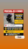 pretinha 