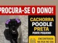 pretinha 
