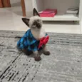 Théo 
