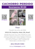 Thor