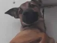   ..