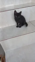 Nutella bb2meses
