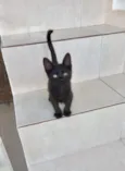 Nutella bb2meses