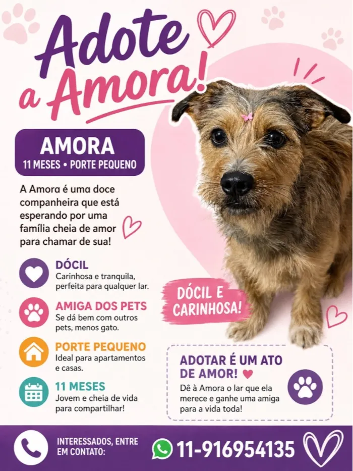 Cachorro raça SRD-ViraLata idade 7 a 11 meses nome AMORA