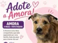 AMORA