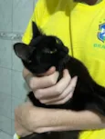 Salem 