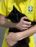 Salem 