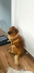 Ted