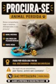 Pretinha