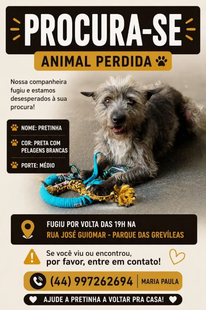 Cachorro raça SRD-ViraLata idade 6 ou mais anos nome Pretinha