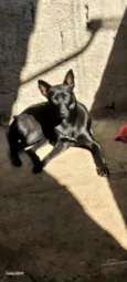 Zoe 