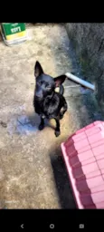 Zoe 