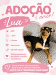 Lua