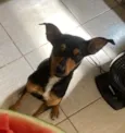 Lua