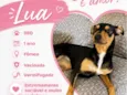 Lua