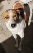 nina 
