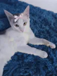 Sabrina