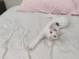 Sabrina