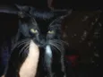 lua