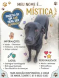 Mística