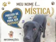 Mística
