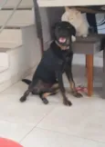 kira