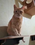 Fred