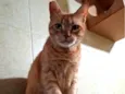 Fred