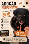Bob