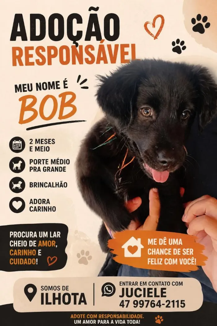 Cachorro raça SRD-ViraLata idade 2 a 6 meses nome Bob