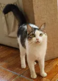 Marie