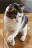 Marie