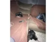 Nome ao seu critério 