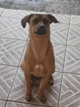 Chico