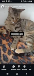 xita 