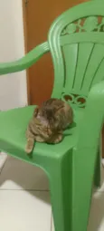 xita 
