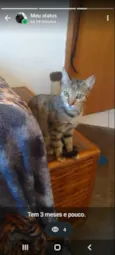 xita 