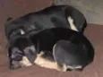 Nome ao seu critério 