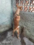 Billy