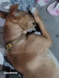 Billy