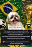 Chico