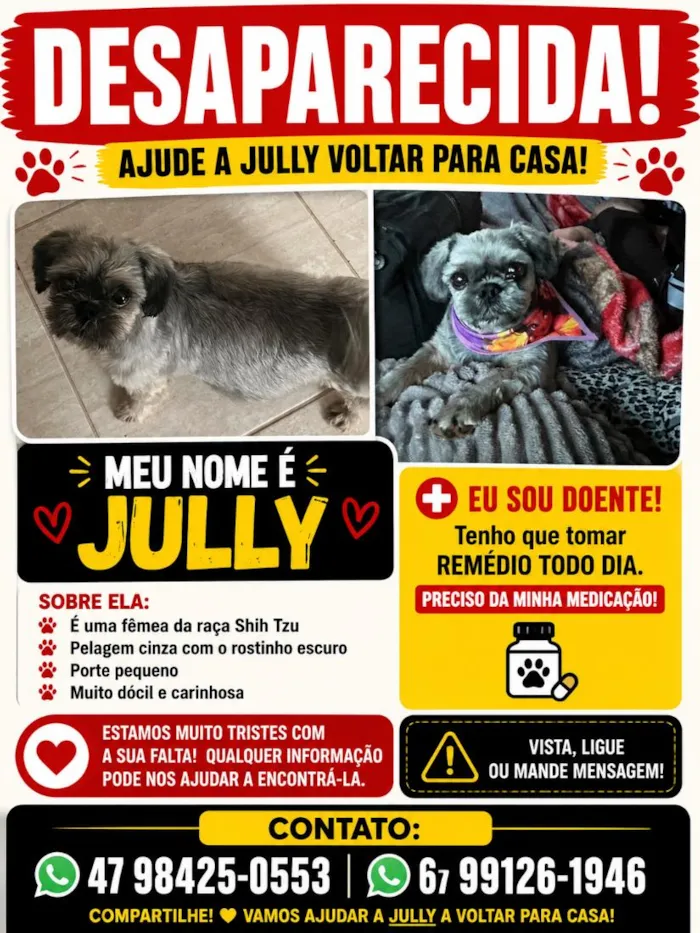 Cachorro raça SRD-ViraLata idade  nome JULLY