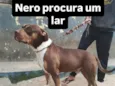 Nero