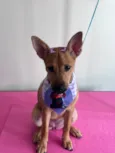 Kiara